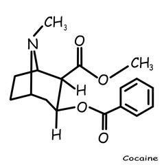 The Chemical structure of cocaine