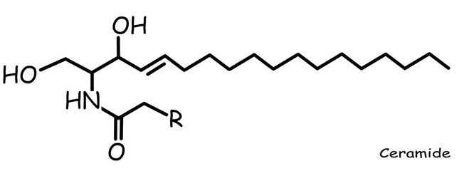 The Chemical structure of ceramide 