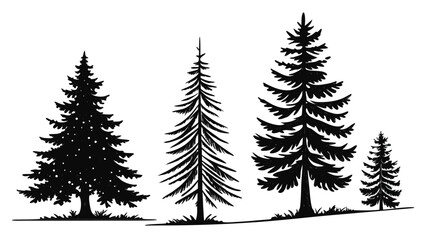 chrismas Pine tree silhouette vector set, evergreen forest trees illustration isolated on white background