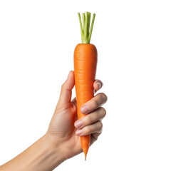 Hand holding ripe carrots  on Isolated transparent background png. generated with AI