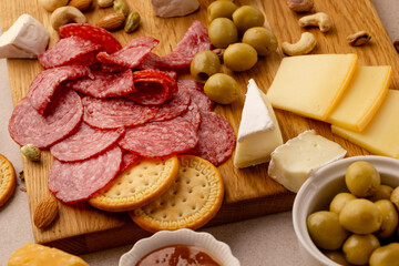 gourmet close-up charcuterie board with round crackers, sliced salami, brie, hard cheese wedges, green olives, nuts and fruit preserves on rustic wood, festive party appetizer, bright daylight snack