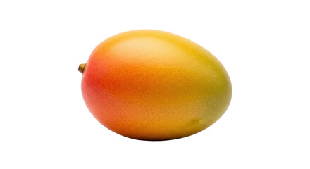 Isolated ripe mango, close up of exotic tropical fruit for advertising or packaging design
