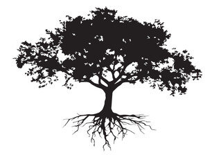 Fototapeta premium Decorative Wide Tree With Roots Silhouette Art 2D Vector Design
