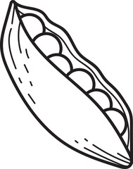 Open Pea Pod with Peas Line Art Illustration. Black and white outline drawing of a vegetable pod with fresh seeds.