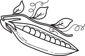 Open Pea Pod with Peas, Leaves, and Tendrils Line Art Illustration