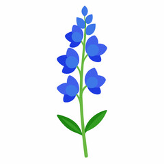 Vibrant blue delphinium flower stalk vector on white background.