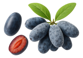 Thyme essential oil in an amber dropper bottle for aromatherapy use