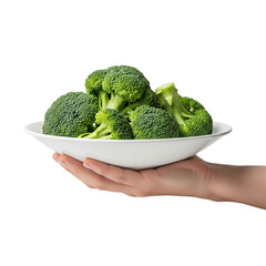 hand holding dish of Broccoli on Isolated transparent background png. generated with AI