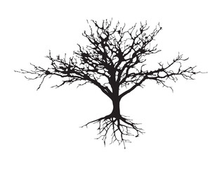 Obraz premium Simple Sparse Canopy Tree Design 2D Vector Line Artwork