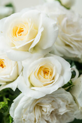 Closeup of white roses bouquet with green leaves in soft natural light
