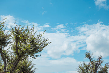ふわふわした薄い雲と夏のようなさわやかな青空　風に流れる雲と美しい天気 秋の空	