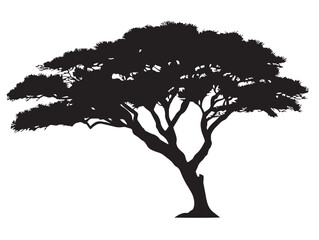 Spiky Canopy Tree Design Elegant 2D Vector Line Art