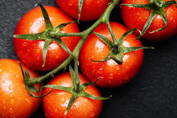 Freshly picked tomatoes with droplets on a dark background