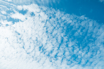 ふわふわした薄い雲と夏のようなさわやかな青空　風に流れる雲と美しい天気 秋の空