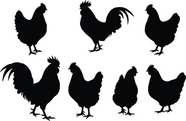 Chicken and rooster silhouette set, farm poultry vector icons, black hen shapes, domestic bird collection, animal graphic for agriculture, livestock design