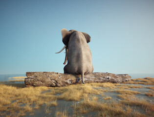 Elephant sitting on a log