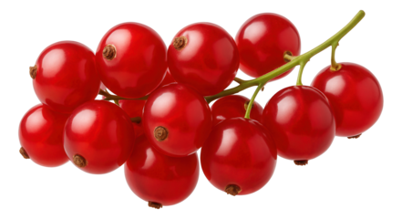 A single string bean tied into a knot, placed on a small black square dish for garnish.