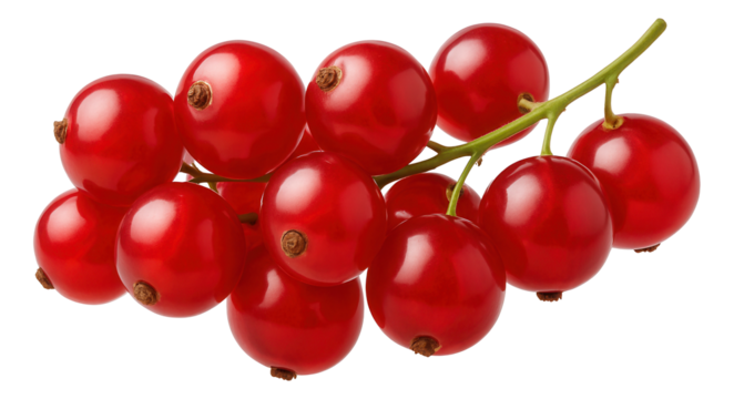 A single string bean tied into a knot, placed on a small black square dish for garnish.