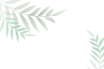 Soft grey organic and green leaves background with text space.