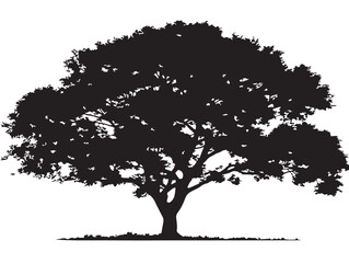 Fototapeta premium Natural Canopy Tree 2D Vector Line Art Silhouette Illustration