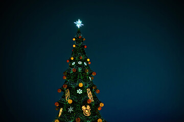 Large decorated evergreen tree with star on top glows against dark night sky.