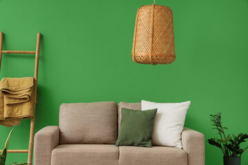 Interior of stylish living room with cozy grey sofa and houseplants near green wall