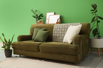 Interior of stylish living room with cozy sofa and houseplants near green wall