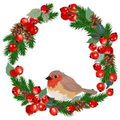 Merry Christmas wreath made of branch pine and cones, apples and birds on a isolated background. This is a greeting card design element.