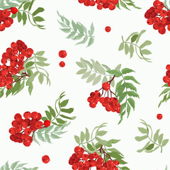 Mountain ash branches against a white background. Seamless vector illustration. Perfect for decorating textiles, packaging, and wallpaper.