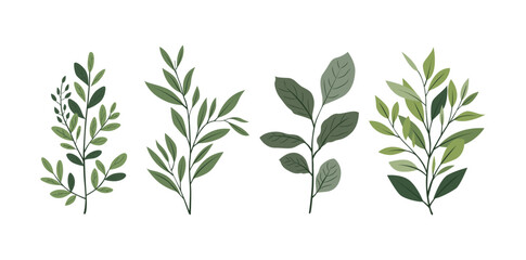 Collection of Green Leaf Branch Illustrations with Botanical Design and Minimal Flat Style for Natural Decoration and Eco Background