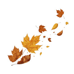 Autumn leaves falling in a swirl isolated on transparent background
