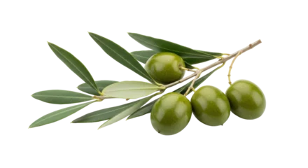 Fototapeten Olivenbaum Isolated branch of green olives on a twig with natural leaves, a fresh raw olive product  © Femke