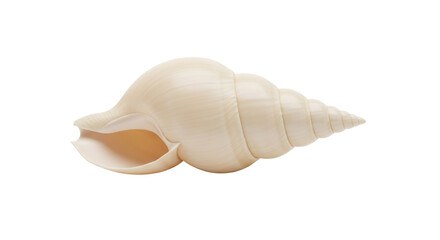 Naklejka premium Isolated Conch Shell with Spiral Shape, Natural Texture, Creamy Color, Beachy, Artistic Design