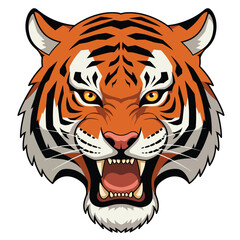 Fierce Tiger Head with Open Mouth and Bared Teeth Roaring.