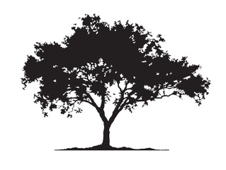Fototapeta premium Enchanted Tree With Morning Fog 2D Vector Line Art Illustration 