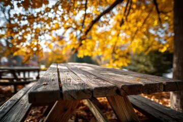 Fototapeta premium Wooden picnic table under canopy of golden autumn leaves