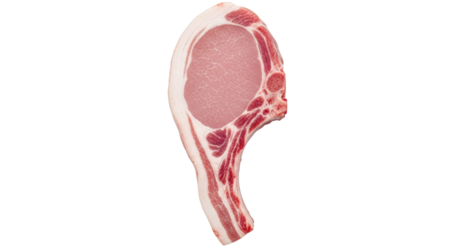 Isolated uncooked pork chop cutlet bone in, fresh, for grilling or roasting on barbecue grill