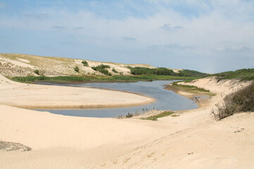 natural reserve of the courant d'huchet beach in landes moliets village in southwest france