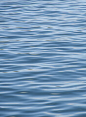Refreshing natural water surface showing life and blue sky tone