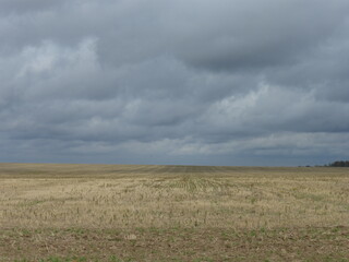 Gray Cloudy Sky Over an Autumn Field