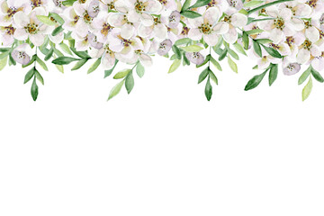 Blooming botanical watercolor flowers border frame. colorful flower on white background.