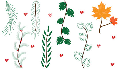 Collection of various green and autumn leaves with red berries on white background, Botanical leaf set with tropical and seasonal foliage illustration, Decorative plant branch and leaf design 