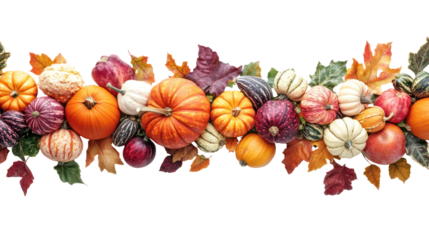 Autumn harvest of colorful pumpkins and gourds isolated on transparent background