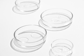 Petri dishes with transparent liquid on white background