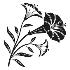 Elegant black and white floral illustration of trumpet flowers
