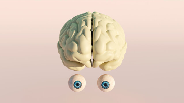 3D rendering of a human brain with eye anatomical model on color background, Medical concept