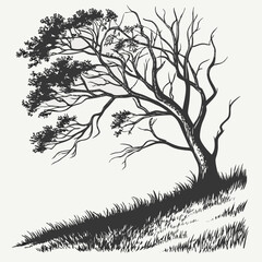 Stylized silhouette of a windswept tree on a grassy hill