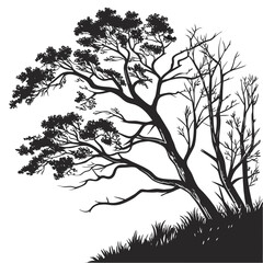 Silhouette of a windswept tree with bare branches and grass