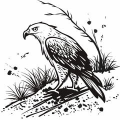 Black and white illustration of a hawk standing in grass with ink splatters