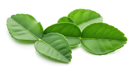 Cluster of bright green Kaffir lime leaves with a distinct doubleleaf structure lying on a white background